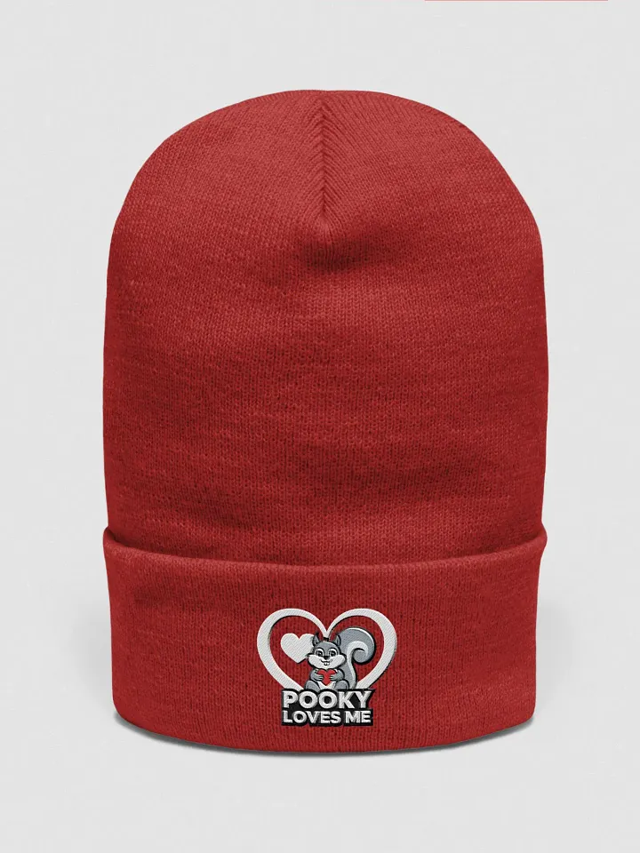 Pooky's Love Beanie product image (1)