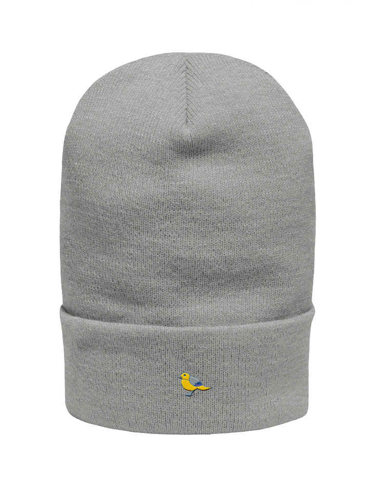 Whimsical Bird Cartoon Beanie product image (3)