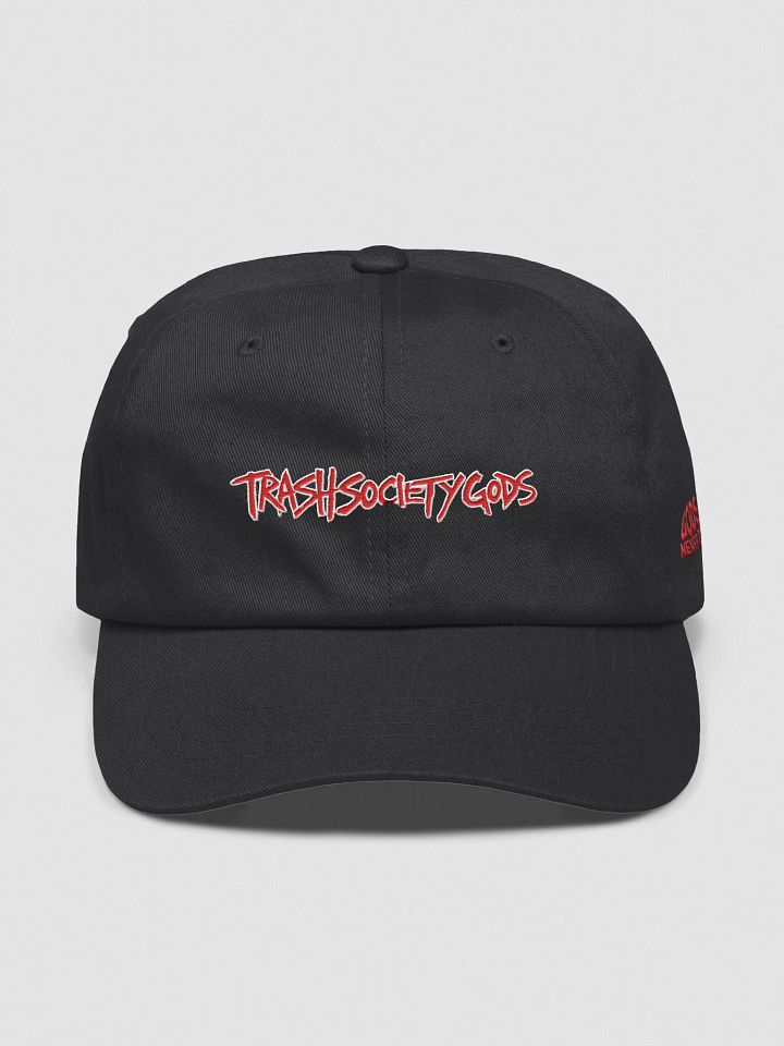 TRASH SOCIETY HAT product image (1)