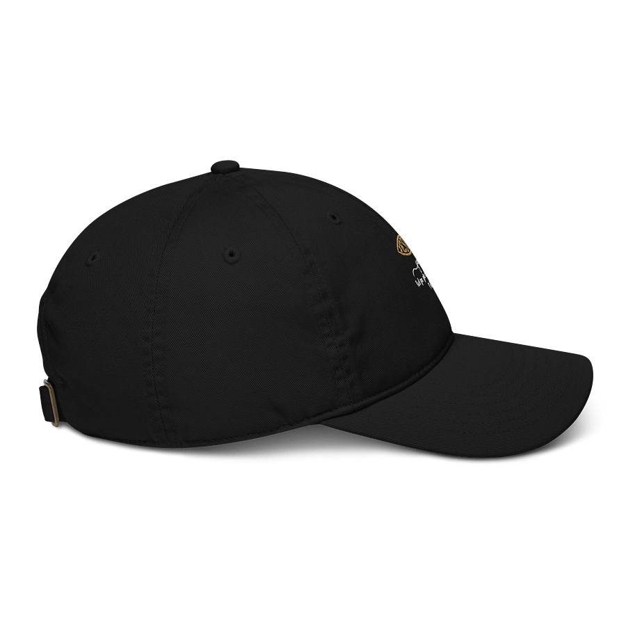 Divine Fish Symbol Organic Dad Hat product image (5)
