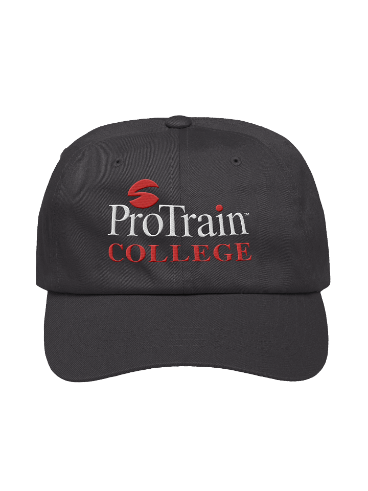 ProTrain College Classic Dad Hat product image (1)