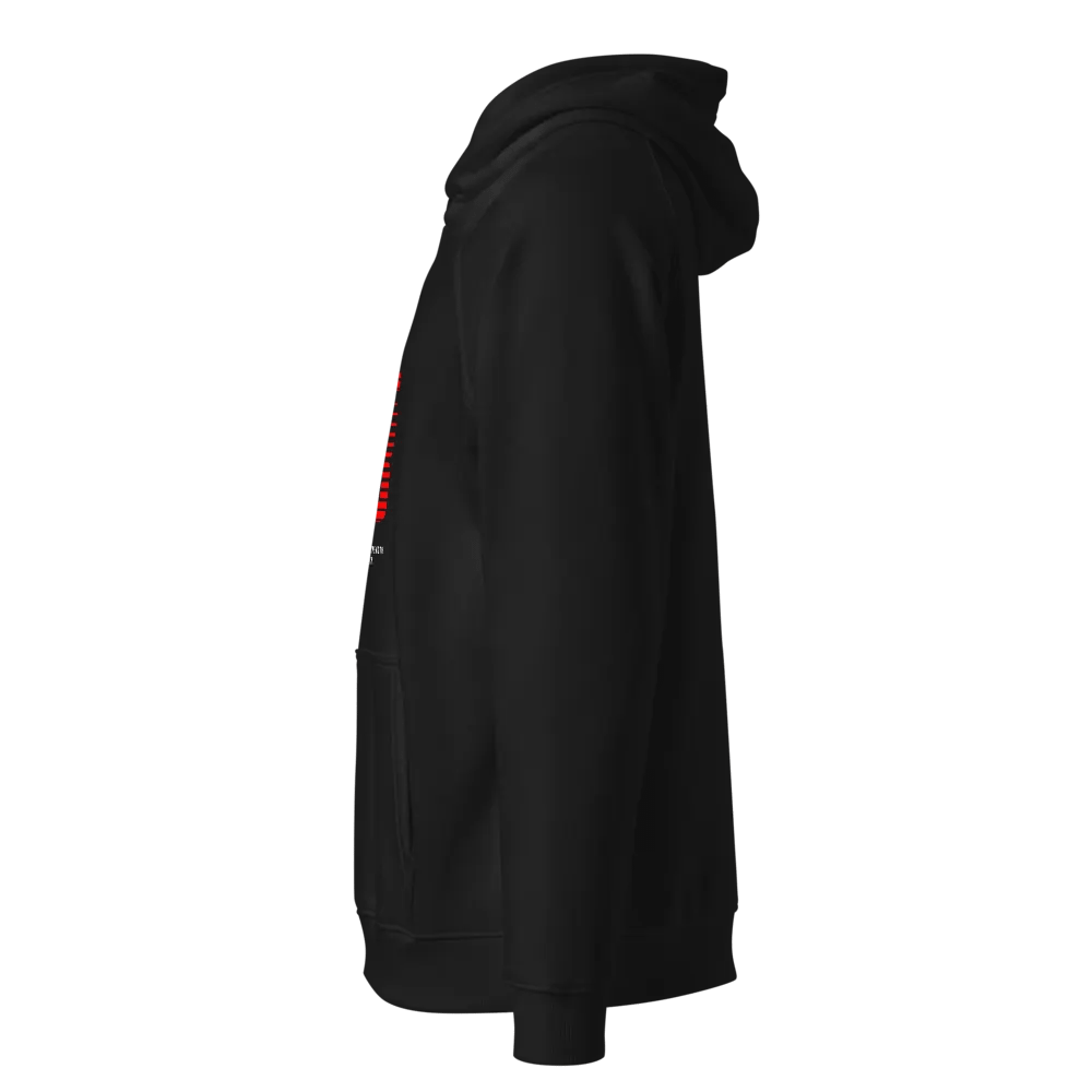 NYC 98 Eco Raglan Hoodie product image (2)
