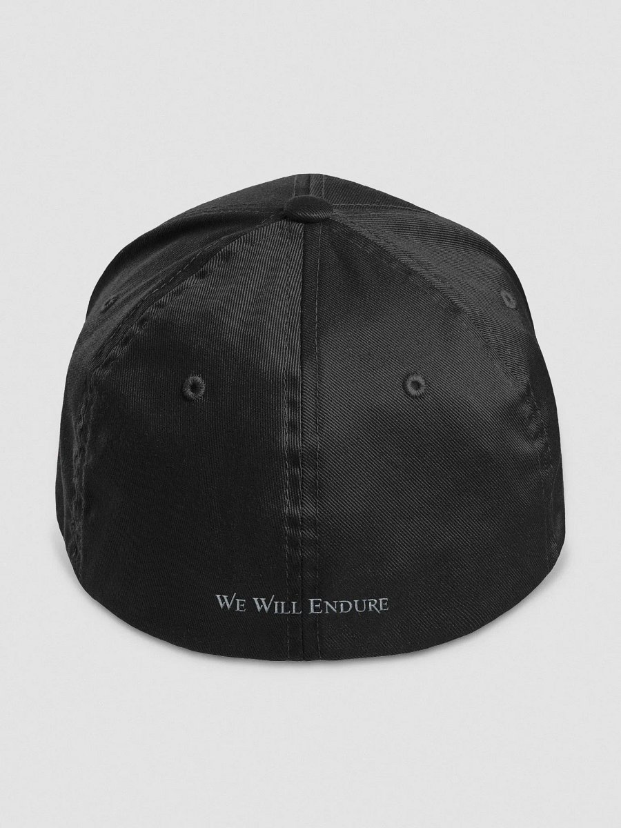 Fitted Cap - The Indecision Lab product image (4)