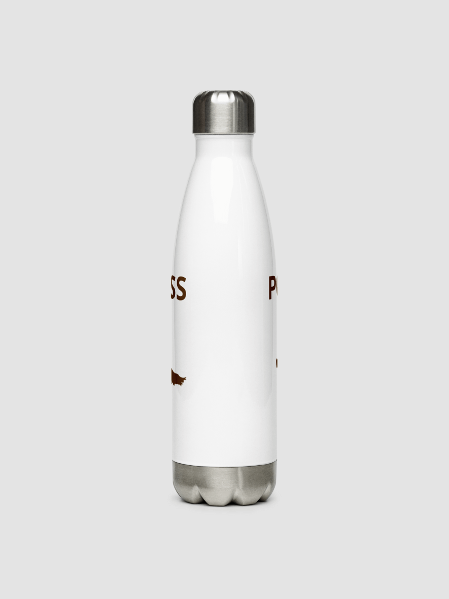 Stainless Steel Water Bottle Generic 1020 product image (4)
