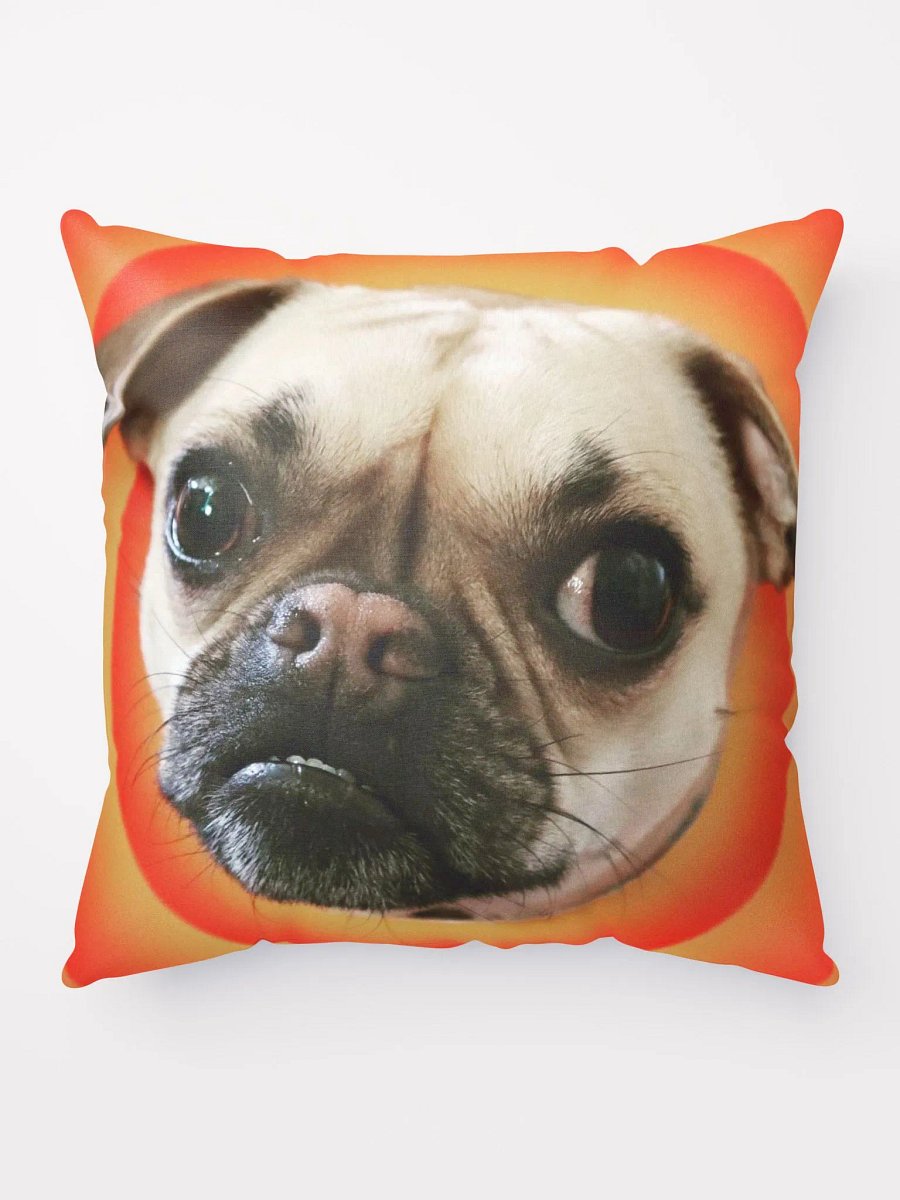 Crash Pillow product image (9)