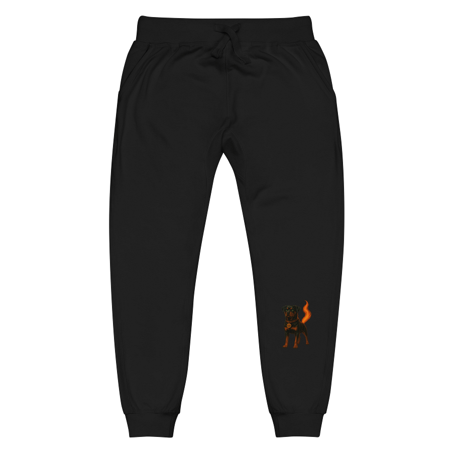 Blaze Joggers- Women product image (1)
