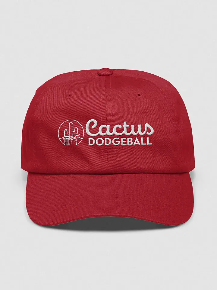 Cactus Dodgeball 