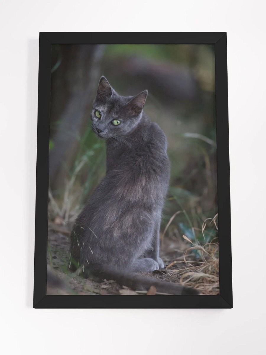 Mysterious black cat product image (8)
