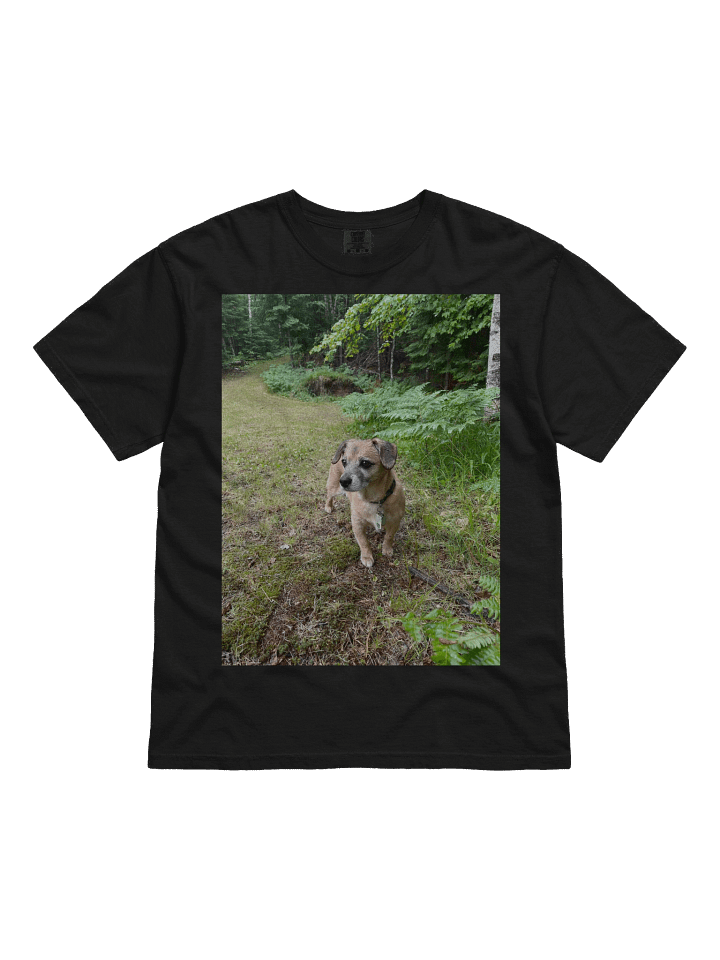 Forest Rocky Tee product image (7)
