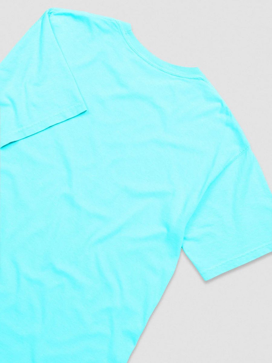 Comfort Colors Garment-Dyed Heavyweight T-Shirt: Exotic Shorthair product image (20)