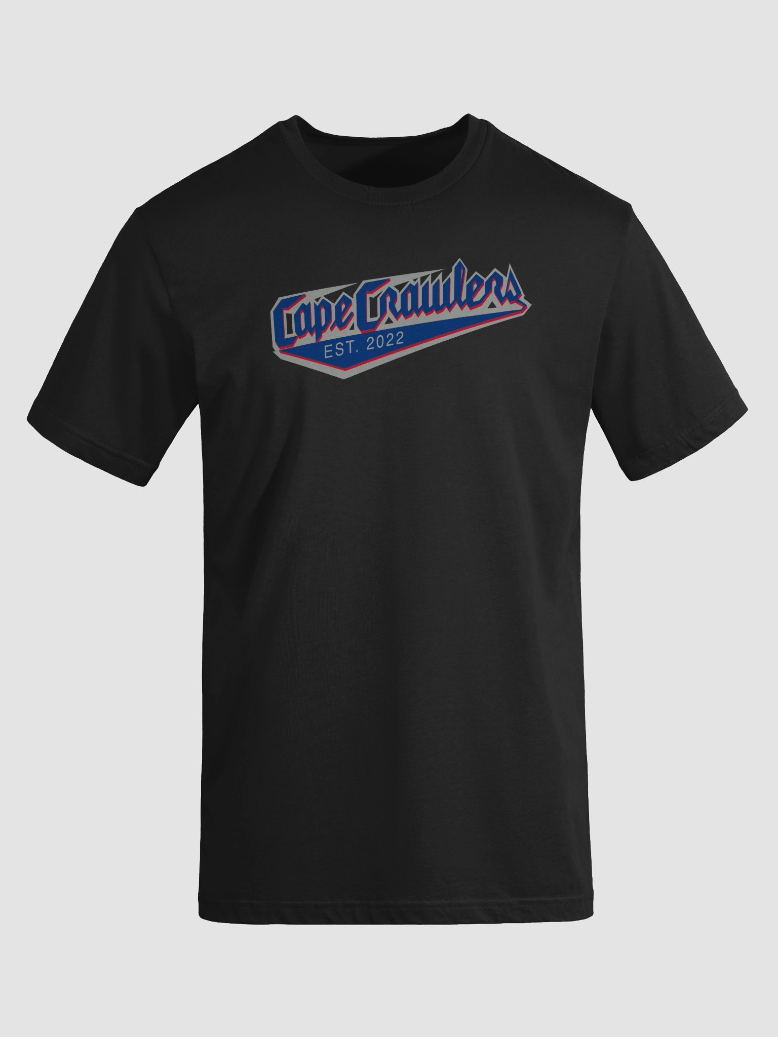 Varsity Logo Tee (blue) product image (11)