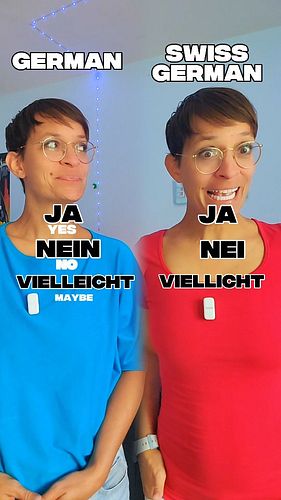 German vs Swiss German - Basic words compared. 💪😅

#germanvsswiss #swissgerman #schweizerdeutsch #schweiz🇨🇭 #switzerland #lea...