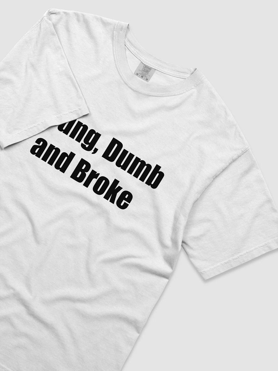 Young, Dumb and Broke product image (15)