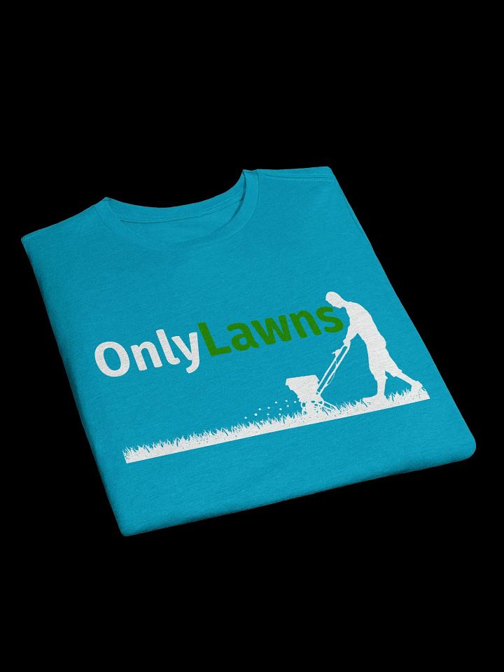 OnlyLawns Tee (Alternate Color) product image (2)
