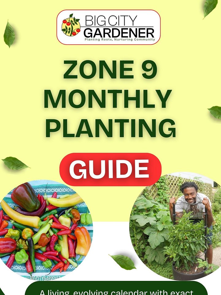 Zone 9 Monthly Planting Guide product image (1)