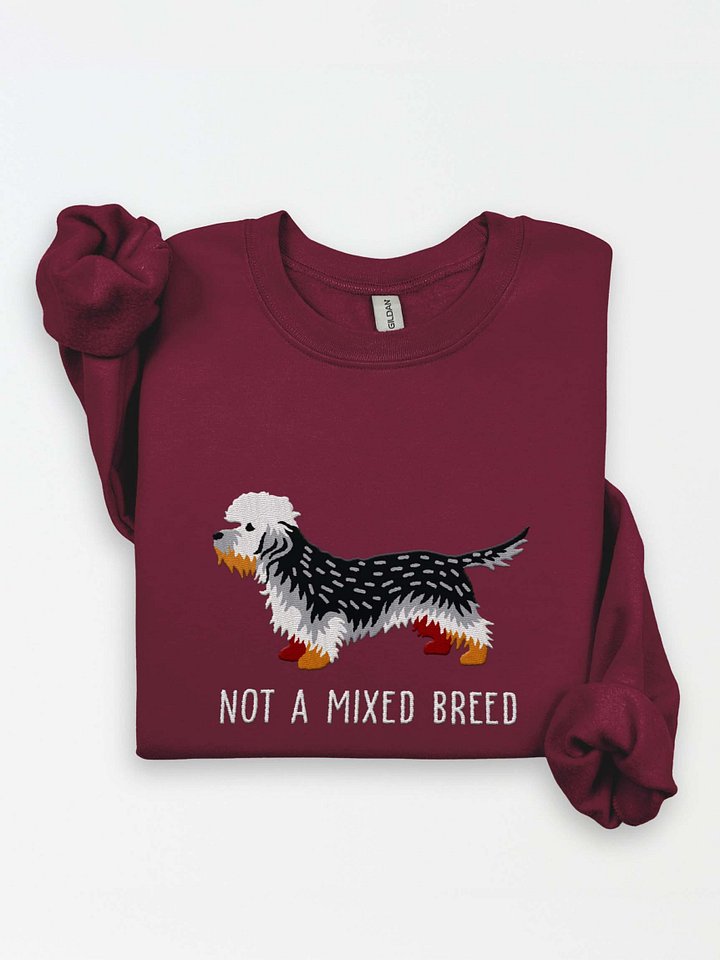 Not a Mixed Breed Sweatshirt (Embroidered) of a Dandie Dinmont Terrier(Pepper) product image (1)