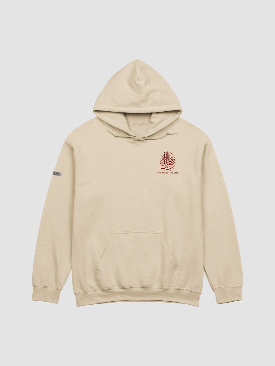 ZENURA Bold Classic Hoodie product image (1)