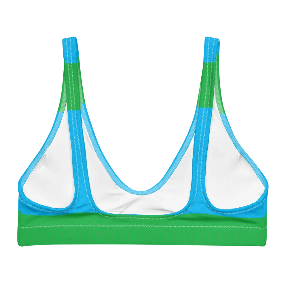 8-Bit Recycled Padded Bikini Top product image (3)