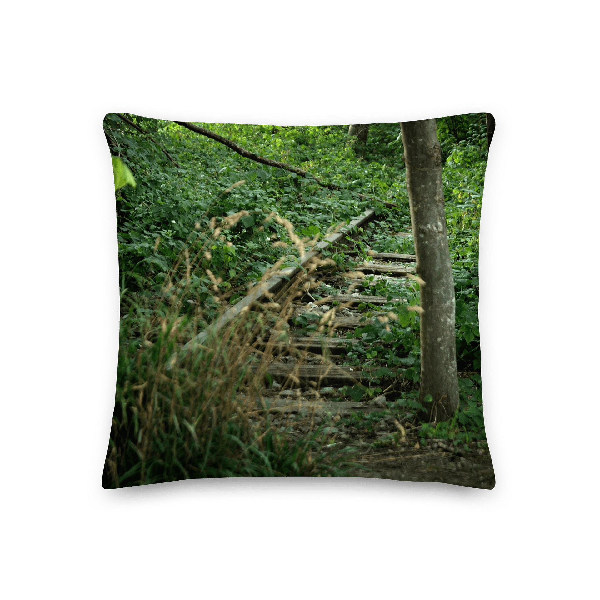 Premium-Kissen - Überwucherte Bahnschienen product image (2)