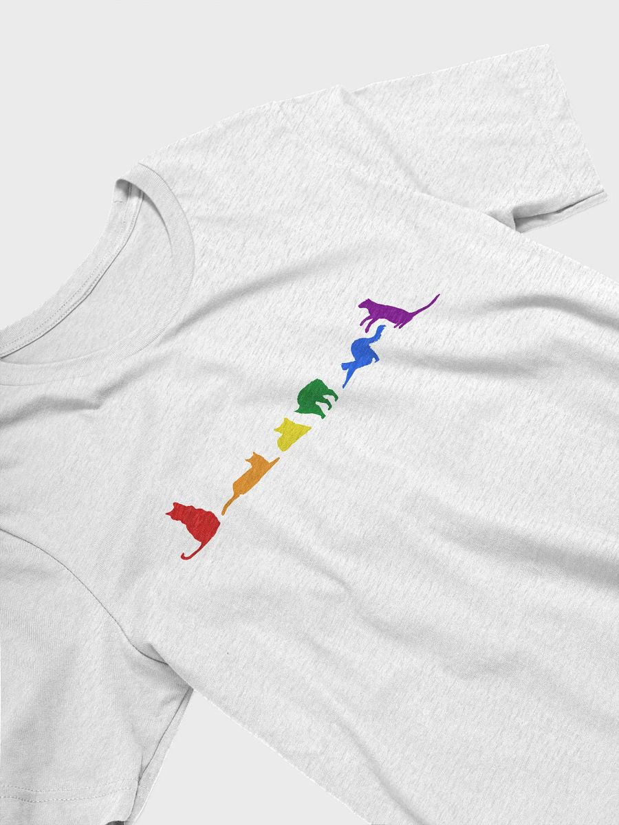 Rainbow Pride Cats Women's Shirt product image (25)