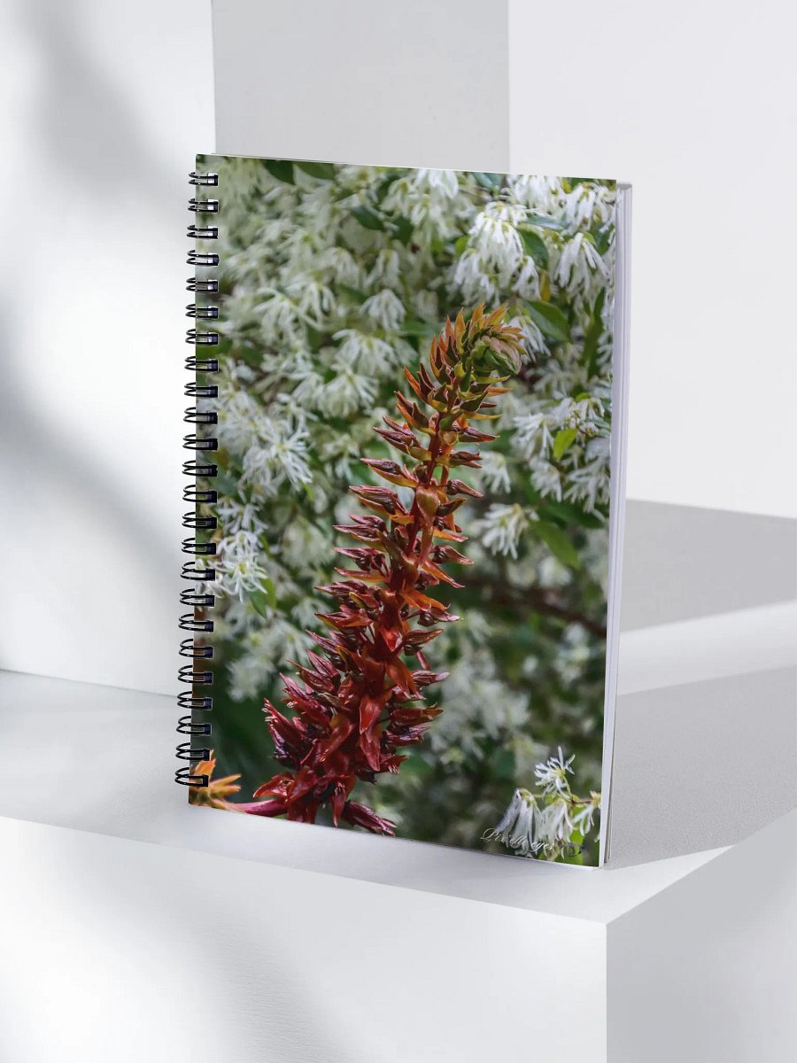 📓 Notebook Collection PURE – Jardin du Rayol – Fleur à franges & Mélianthus product image (4)