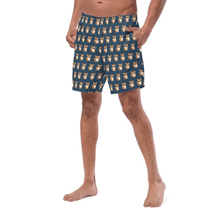Torgi Swim Trunk Blue product image (2)