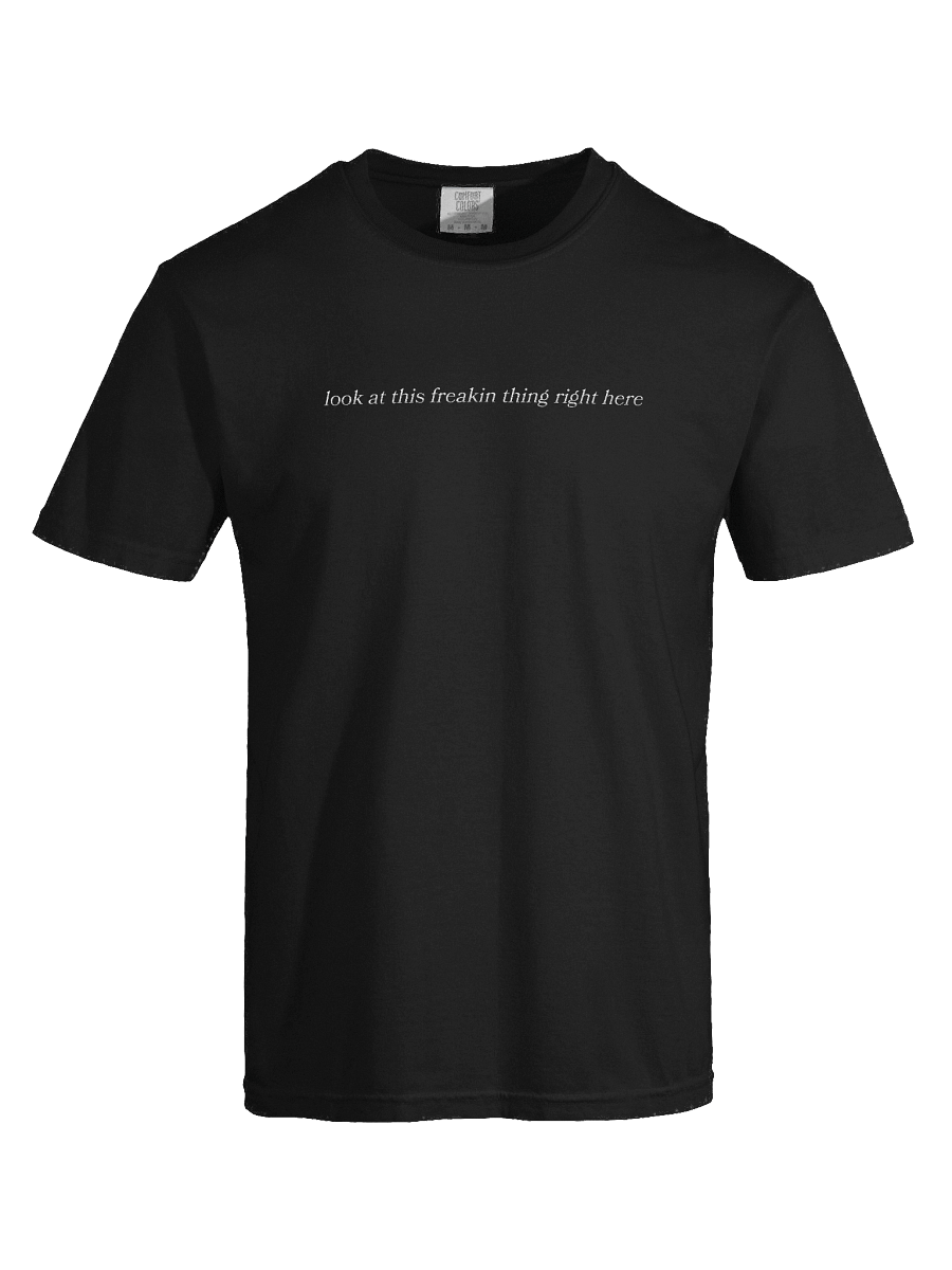 Look At This Freakin Thing Right Here T-Shirt (Comfort Colors, Soft Embroidered Edition) product image (7)