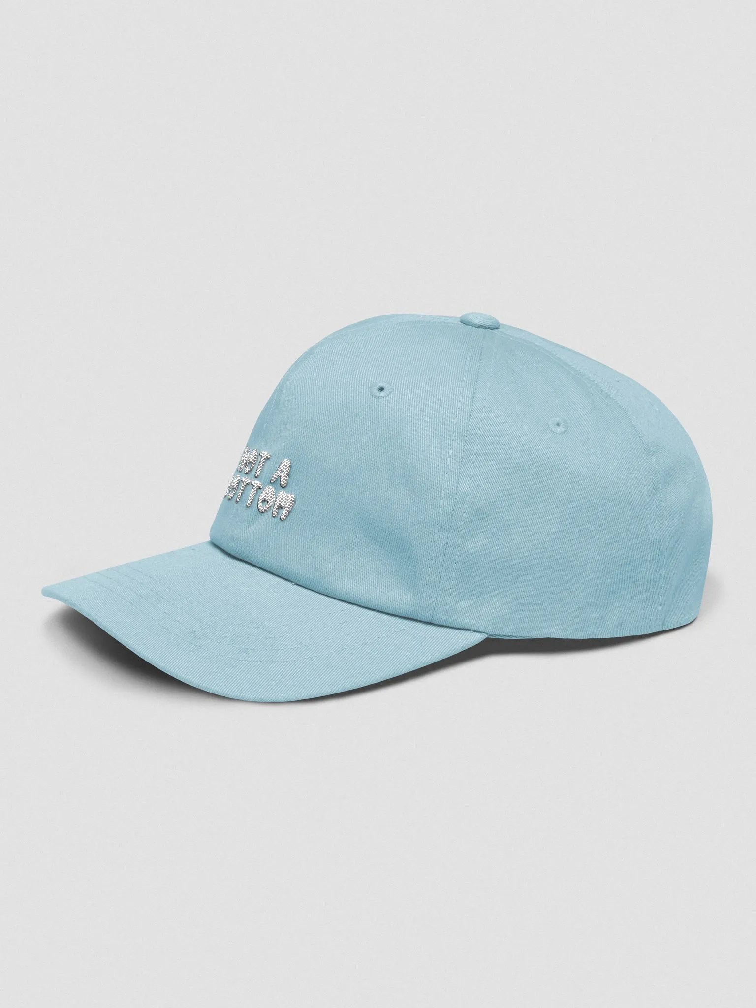 not a bottom dad hat product image (5)