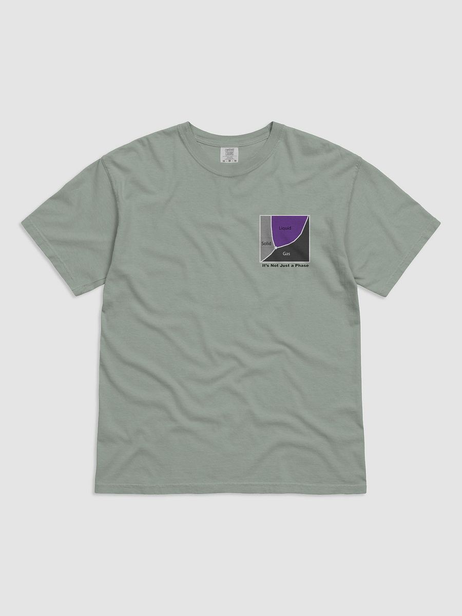 It's Not Just a Phase- Ace T Shirt product image (7)