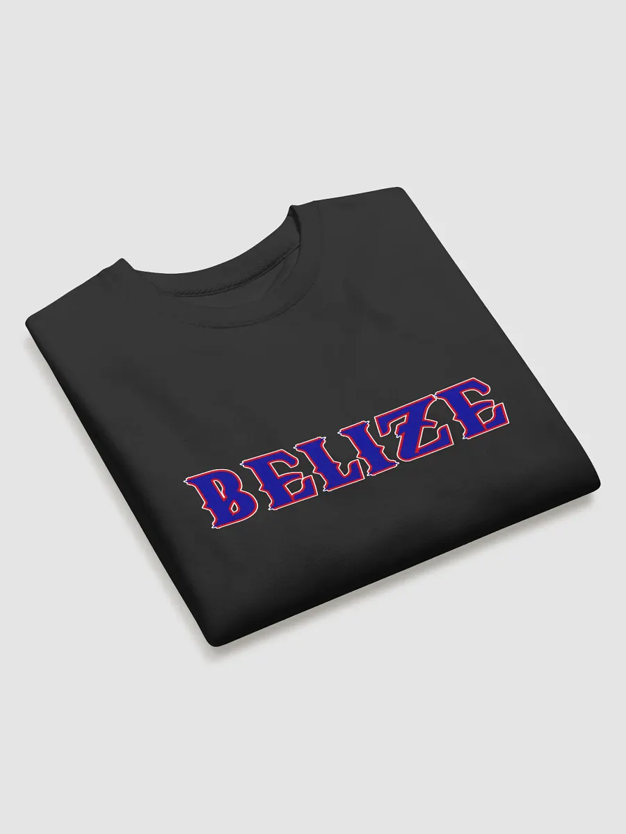 Belize Emblem Premium Sweatshirt product image (3)