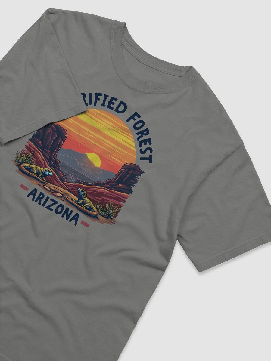 Petrified Sunset Desert T-Shirt product image (9)