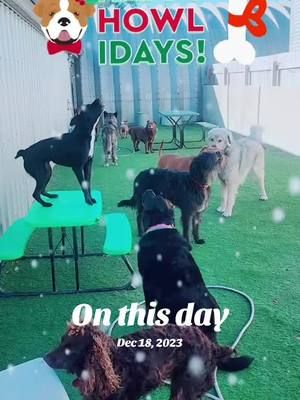 #onthisday