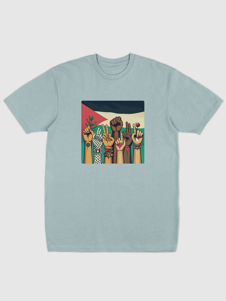 Unity and Solidarity Graphic Tee | free palestina product image (1)