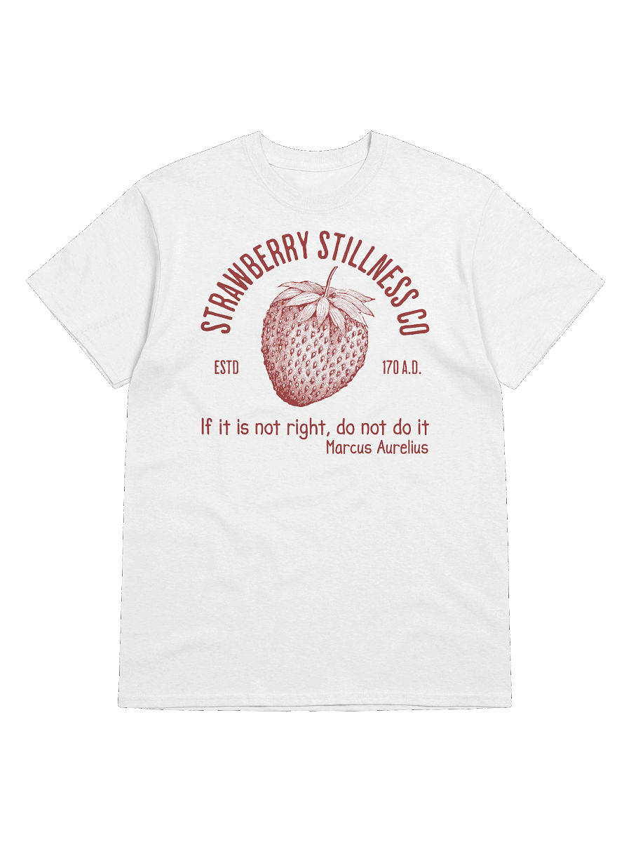 STOIC STRAWBERRY TSHIRT product image (4)