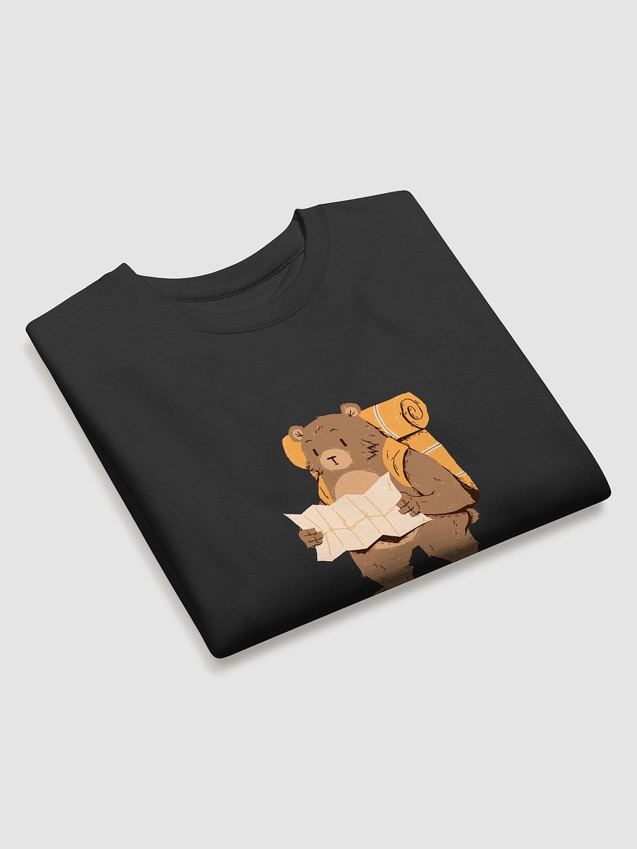 Avian Triangle Premium Sweatshirt product image (21)