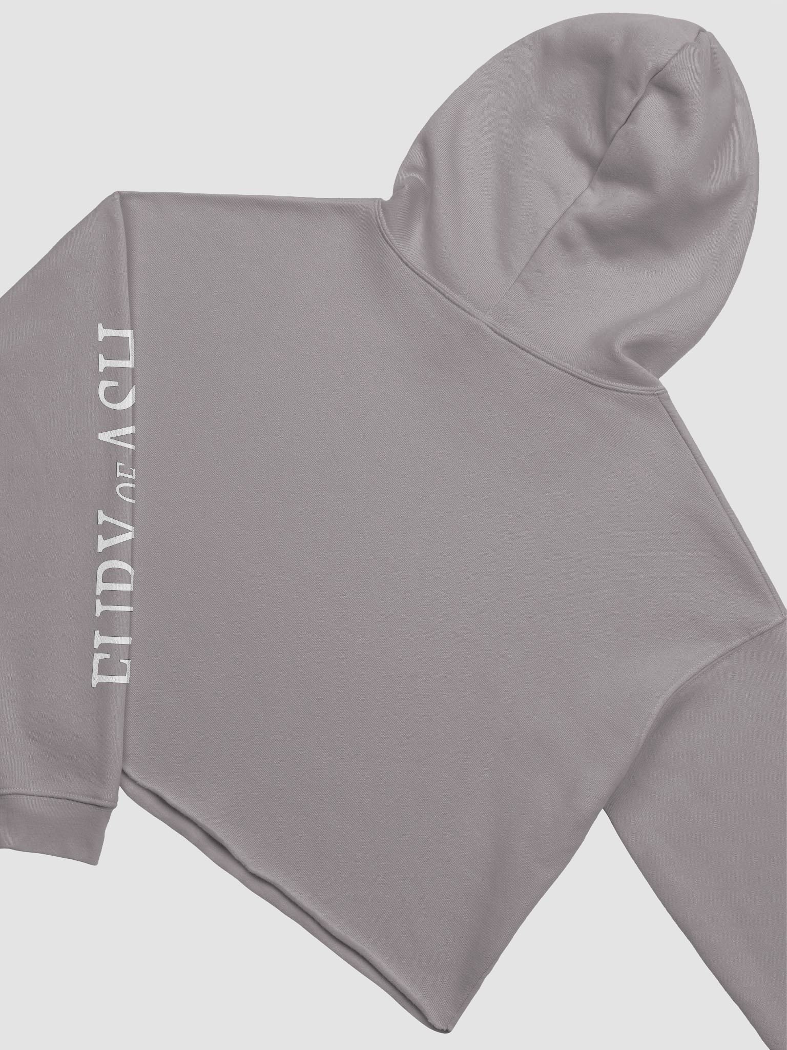 Crop Hoodie w/ Feather Design product image (3)