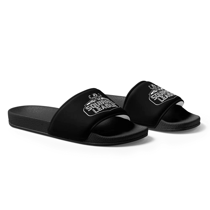 Squirrel League Slides product image (2)