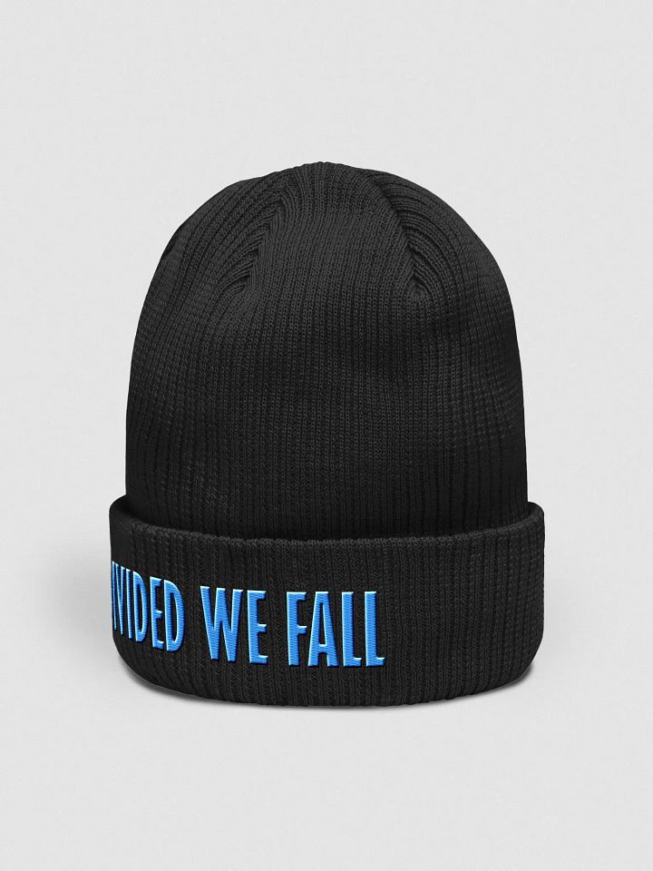 Divided We Fall - Blue - Beechfield Organic Ribbed Beanie product image (2)