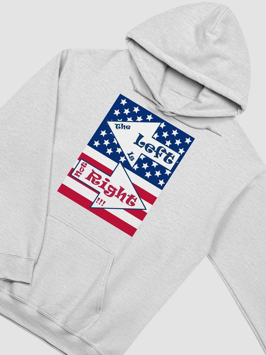 Patriotic 'The Left is not Right' Hoodie product image (34)