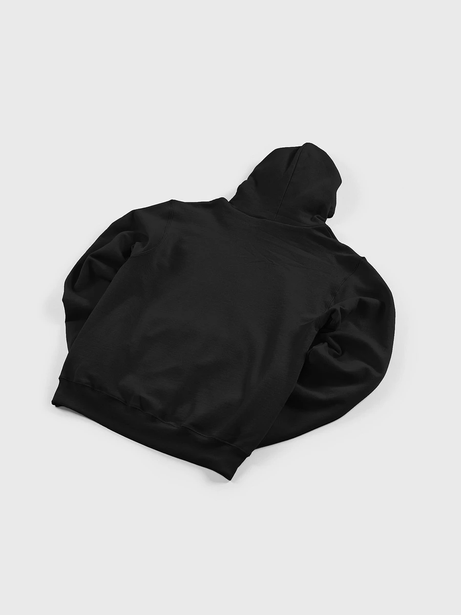 Rare DGR Logo Hoodie - Black product image (4)