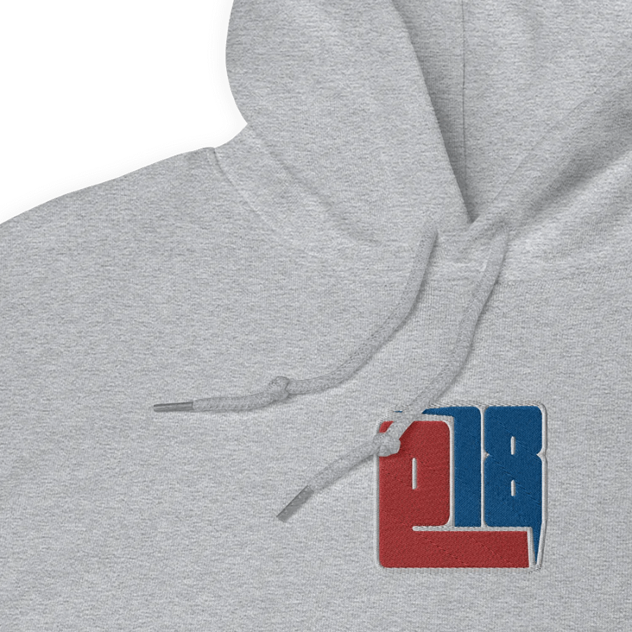 E18 Embroidered Logo Hoodie product image (2)