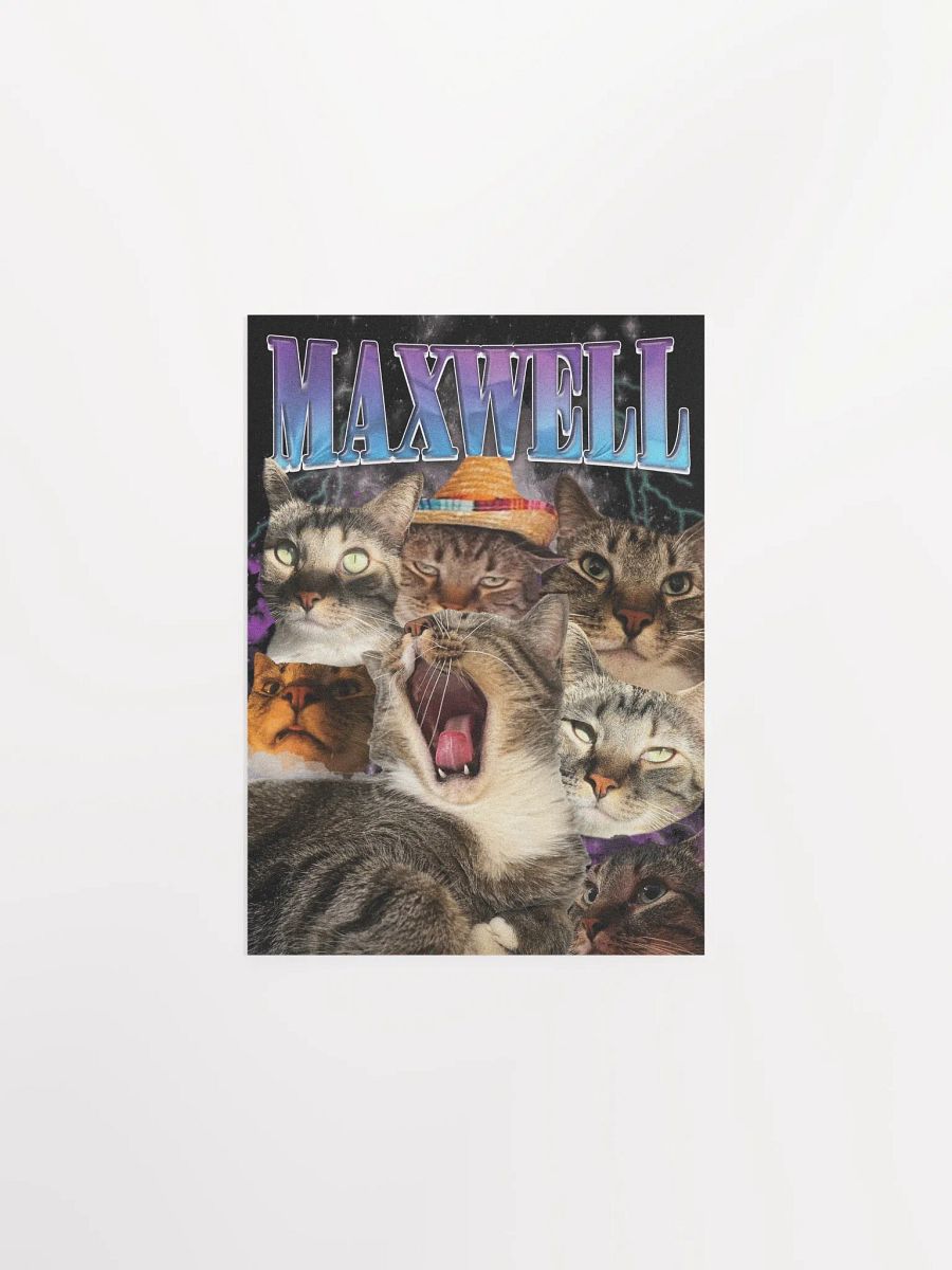 Many Faces of Maxwell - Poster Edition product image (2)