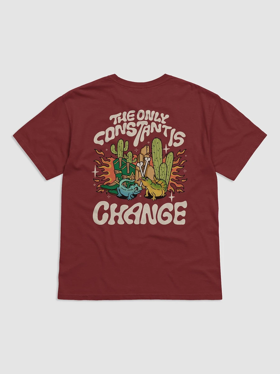 The Only Constant Is Change - Tee product image (5)
