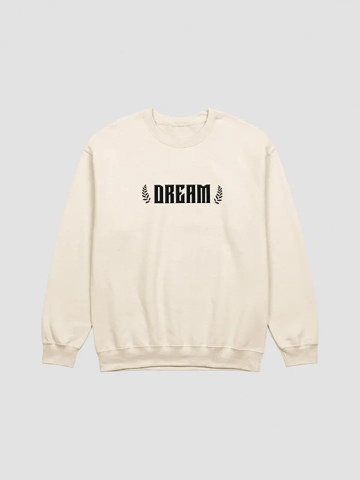 Dream Big Embroidery Sweatshirt product image (22)