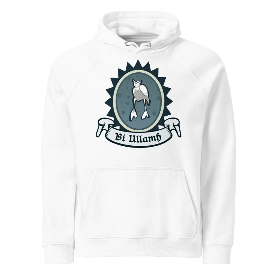 Ulchabhán Bí Ullamh SOL'S Eco Raglan Cochaill (Front Patch) product image (1)