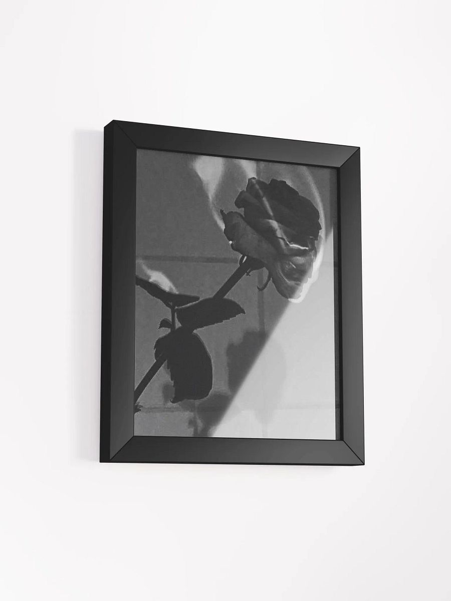 ROSE product image (2)