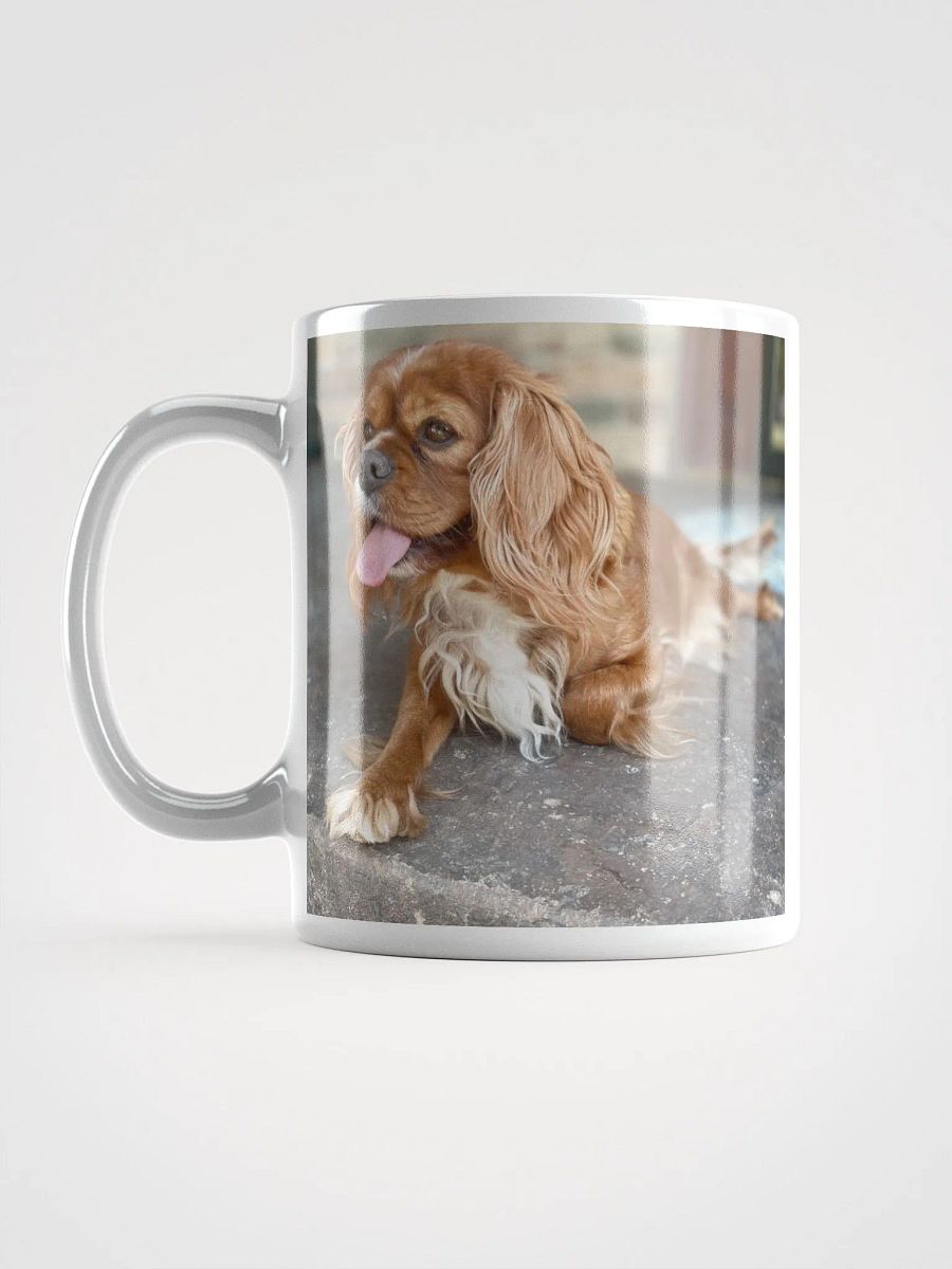 Fun Police (Missy) Portrait Coffee Mug product image (5)
