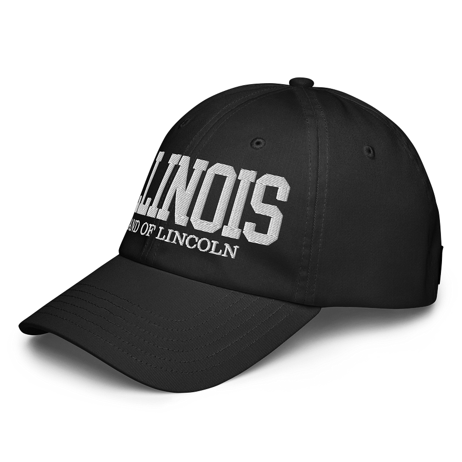 Illinois Land of Lincoln Dad Hat product image (6)
