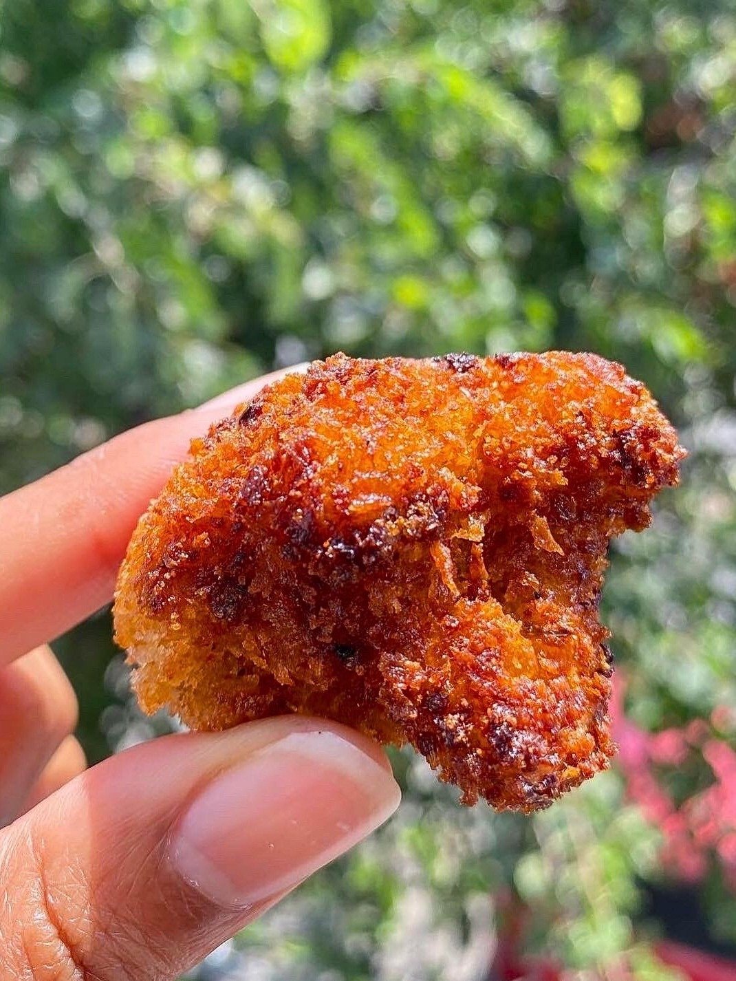 Really Crispy Cauliflower Guide Ebook product image (2)