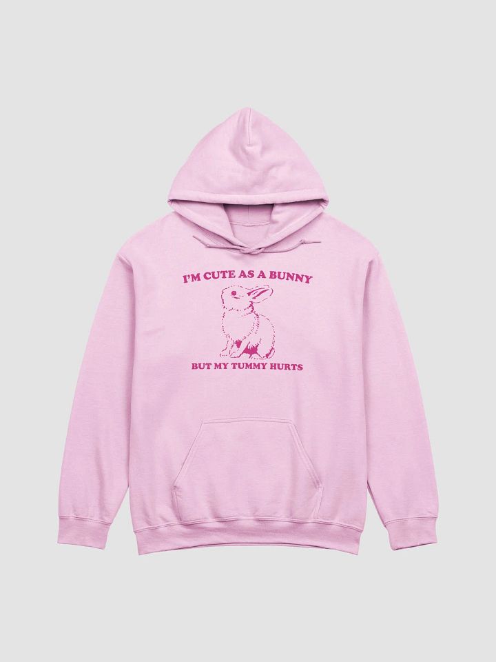 I'm cute as a bunny Hoodie product image (1)